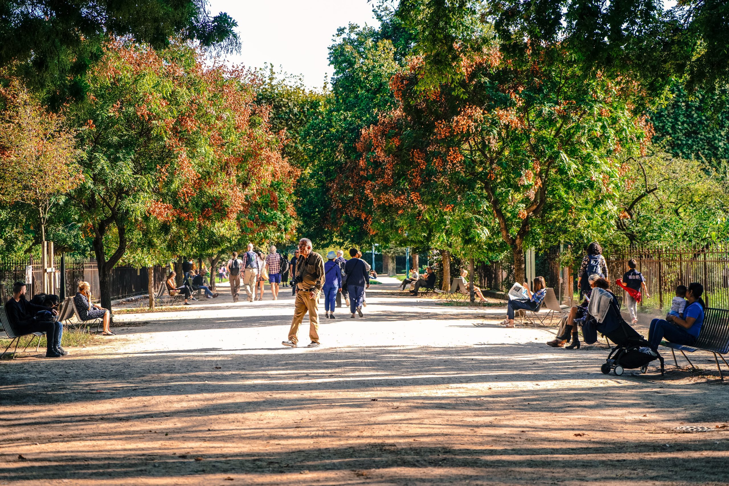 Au jardin des plantes, couleur automnale